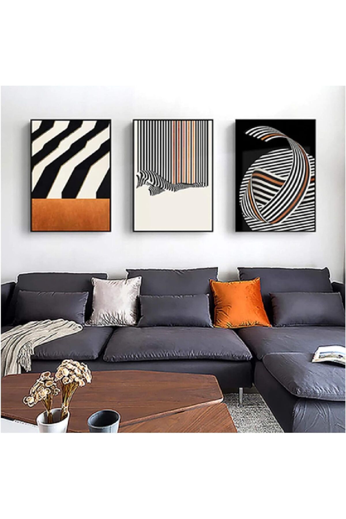 3lü Siyah Metal Çerçeveli Zebra Geometrik Dekoratif Şık Poster Cam Tablo Seti