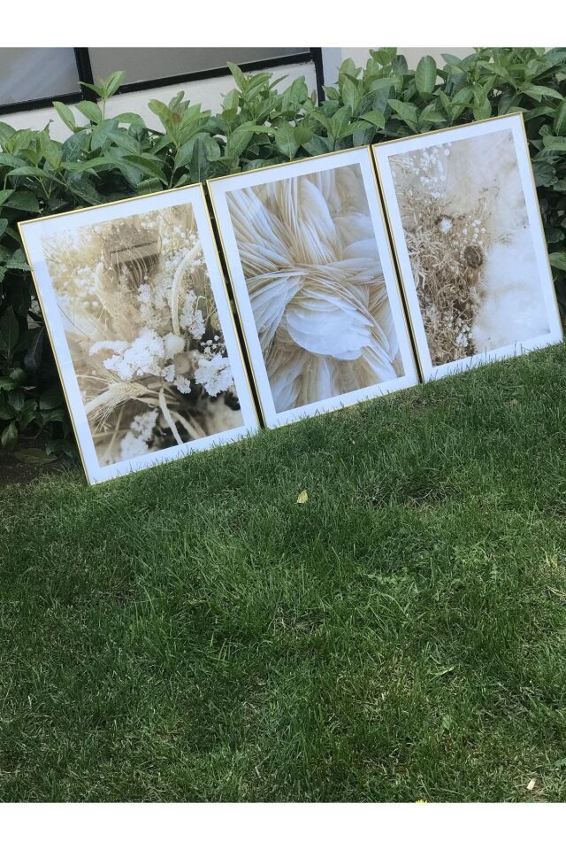  Gold - 50 X 70
