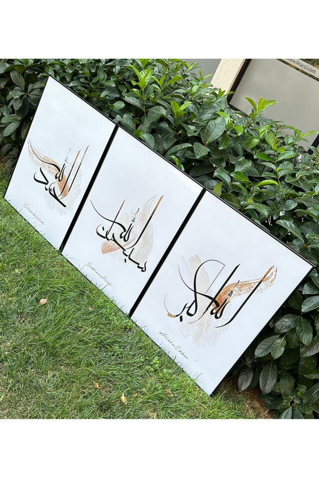  Si̇yah - 30 X 40