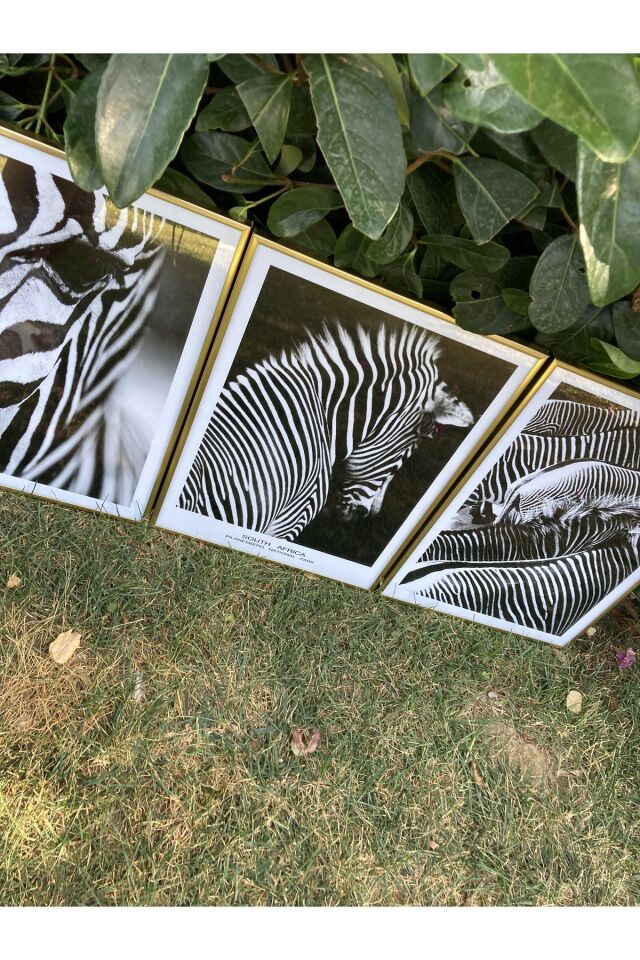  Gold - 40 X 60