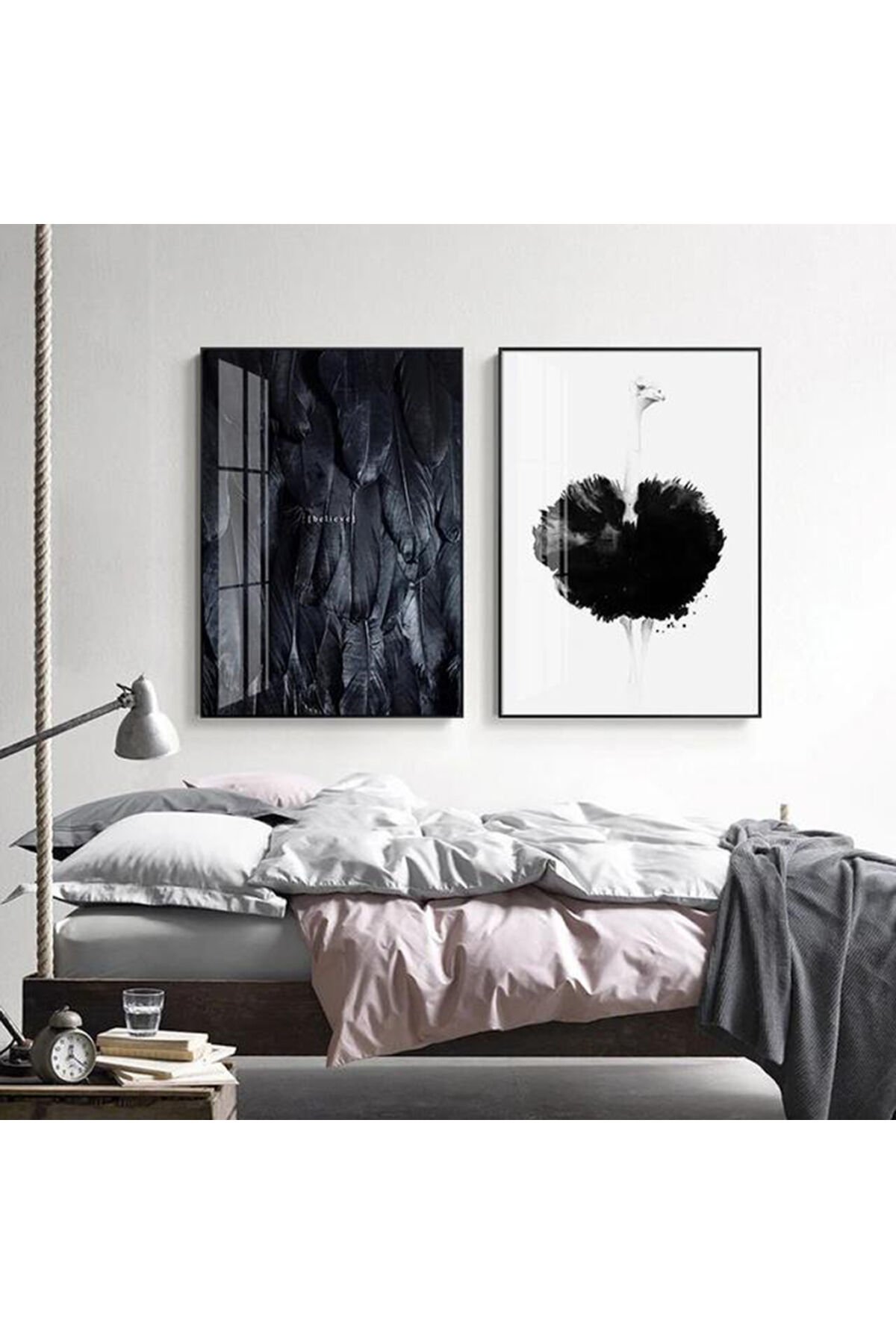 İkili Siyah Metal Çerçeveli Tüy Deve Kuşu Cam Tablo Seti