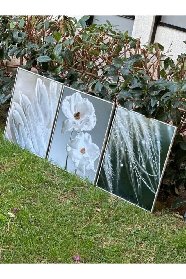  Gümüş - 40 X 60
