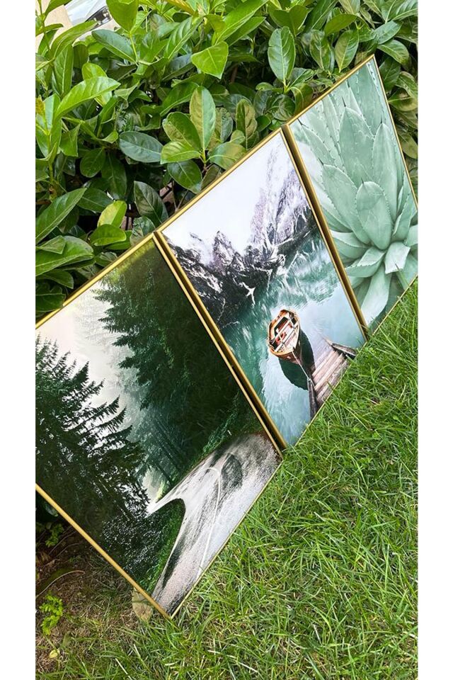  Gold - 40 X 60