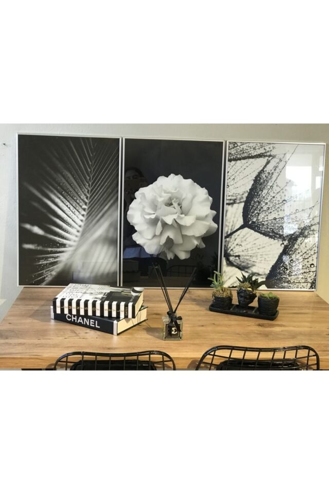 Üçlü Gümüş Renkli Alüminyum Metal Çerçeveli Camlı Poster Tablo Seti