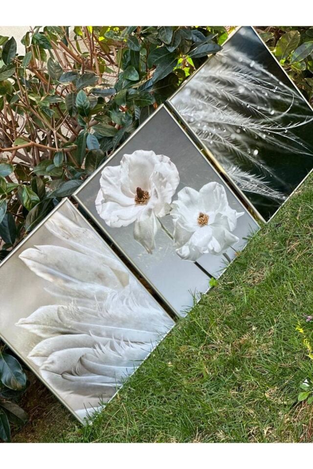 Üçlü Gümüş Alüminyum Metal Çerçeve Çiçek Tüy Camlı Poster Tablo Seti