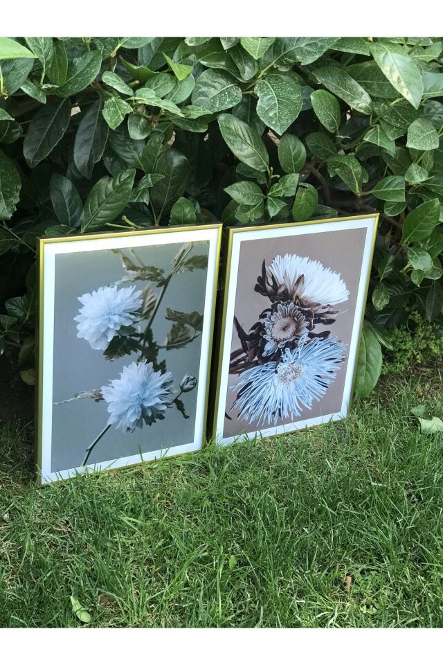  Gold - 40 X 60