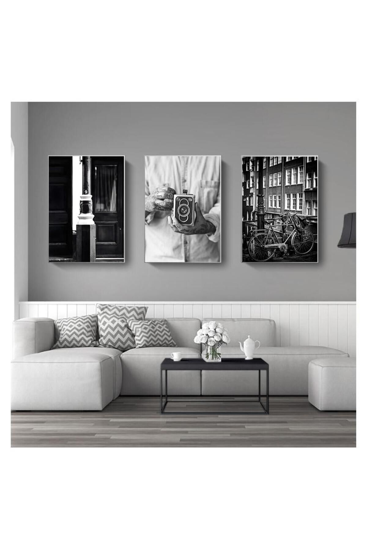 3lü Gümüş Metal Çerçeveli Bisiklet Fotoğraf Camlı Tablo Seti