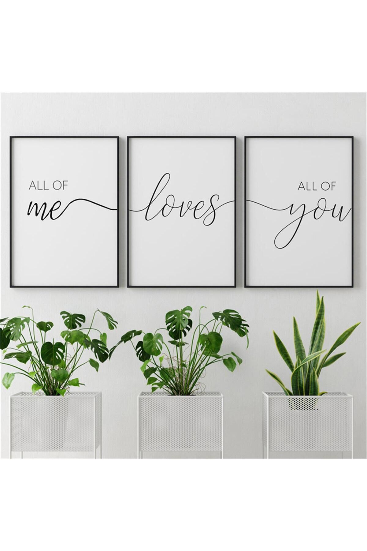 3lü Siyah Alüminyum Metal Çerçeveli Yazılı Beyaz Motto Soyut Camlı Tablo Poster Seti